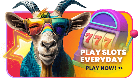 VIP Program - Read More